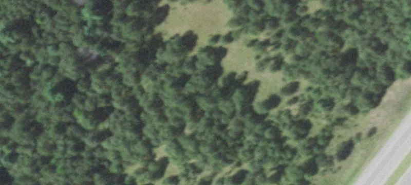 Black River
