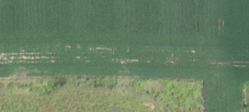Hixton, WI 54635