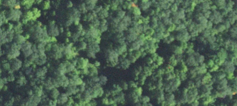 Holcombe, WI 54745