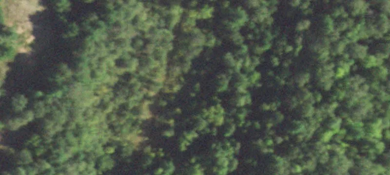 Bruce, WI 54819