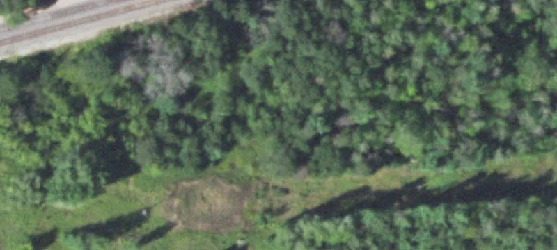Pittsville, WI 54466