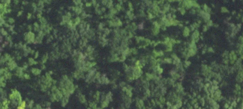 Rio, WI 53960