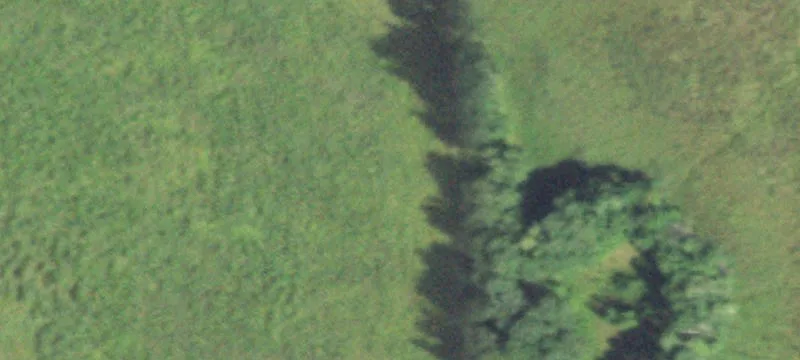 Jim Falls, WI 54748