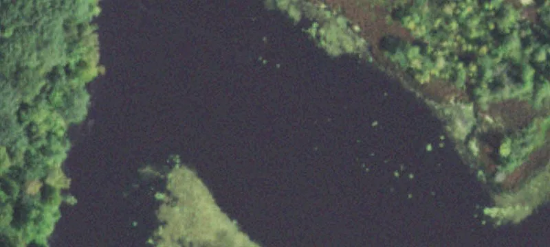 Holcombe, WI 54745