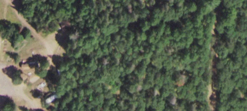 16095 Chipmunk Holw Rd