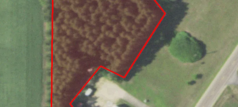 6649th State Hwy 25
