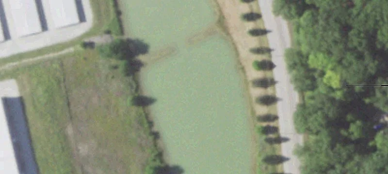 Lotus Dr