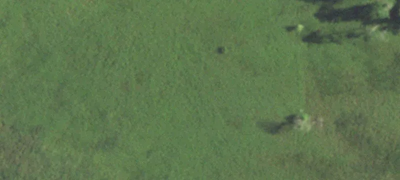 Princeton, WI 54968