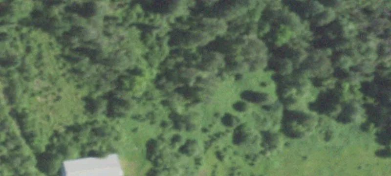 Wabeno, WI 54566