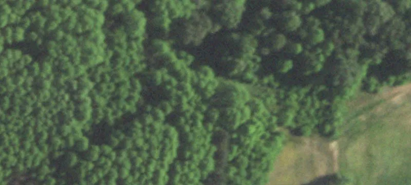 Neshkoro, WI 54960