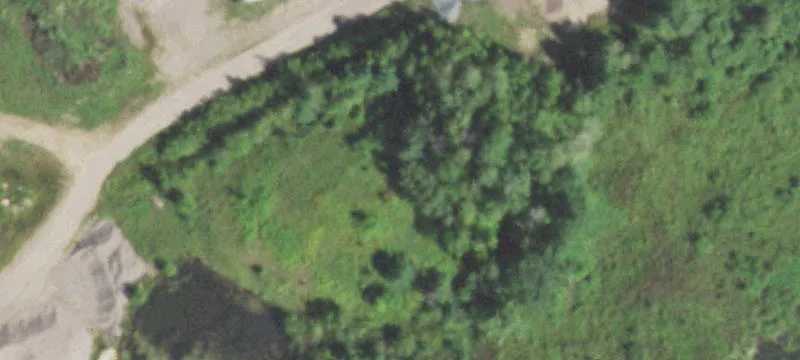 Weyerhaeuser, WI 54895