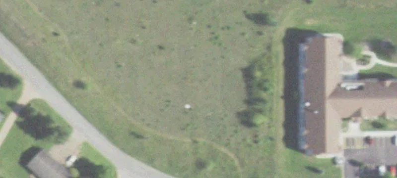 Renee Dr