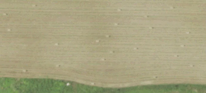 Goldendale Rd