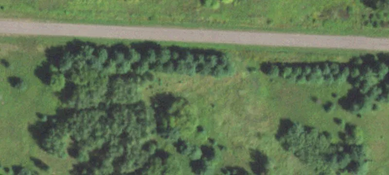 Weyerhaeuser, WI 54895