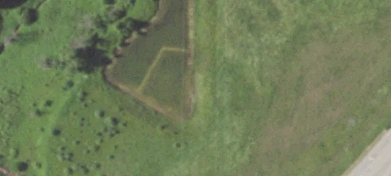 Kleinmann Dr