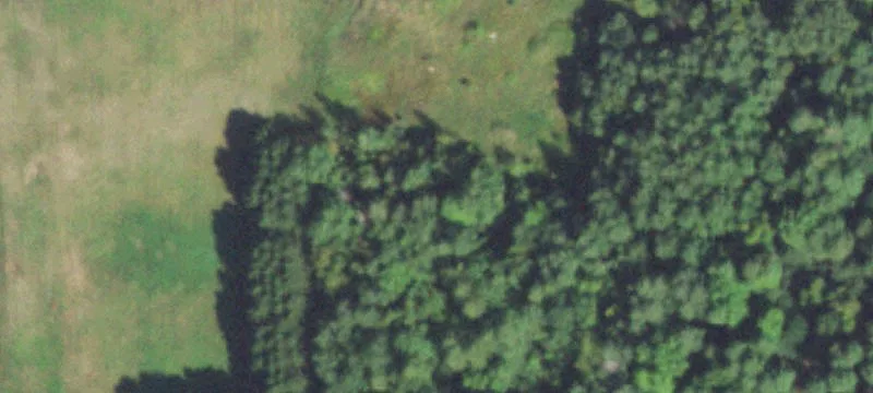 Ladysmith, WI 54848