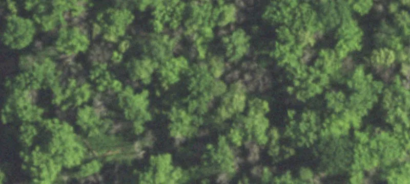 Princeton, WI 54968