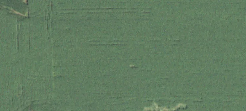 Tony, WI 54563