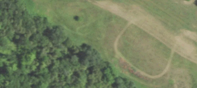 Marion, WI 54950