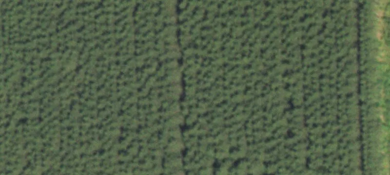 Merrill, WI 54452