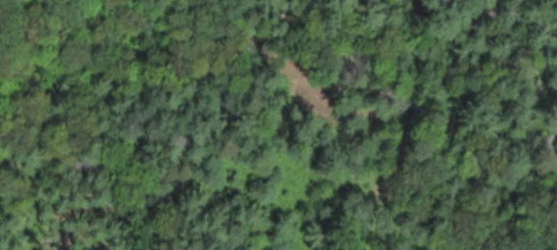 Dunbar, WI 54119