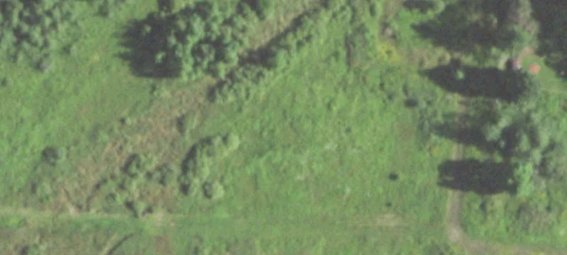 Antigo, WI 54409