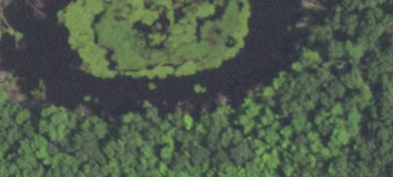 Wild Rose, WI 54984