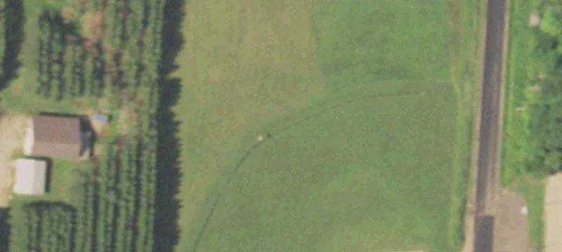 Gleason, WI 54435