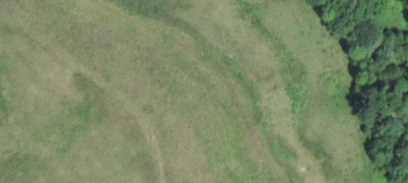 Humbird, WI 54746