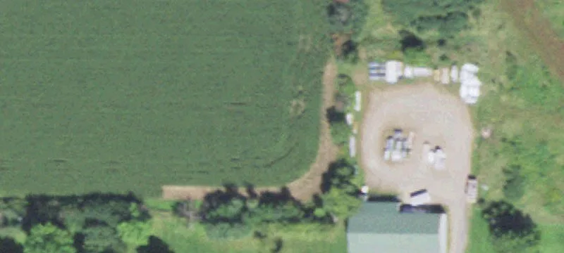 Withee, WI 54498