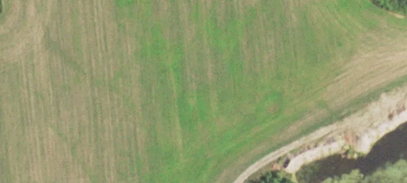 Phillips, WI 54555