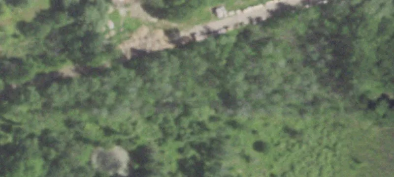 Marion, WI 54950