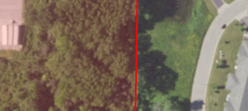 Kleinmann Dr