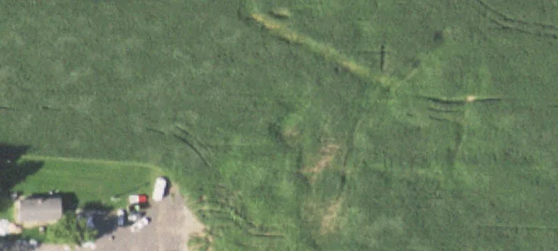 Marshfield, WI 54449