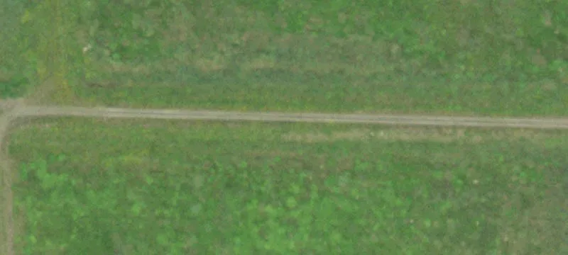 Marshfield, WI 54449