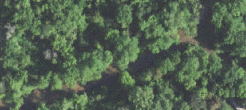 Whitehall, WI 54773