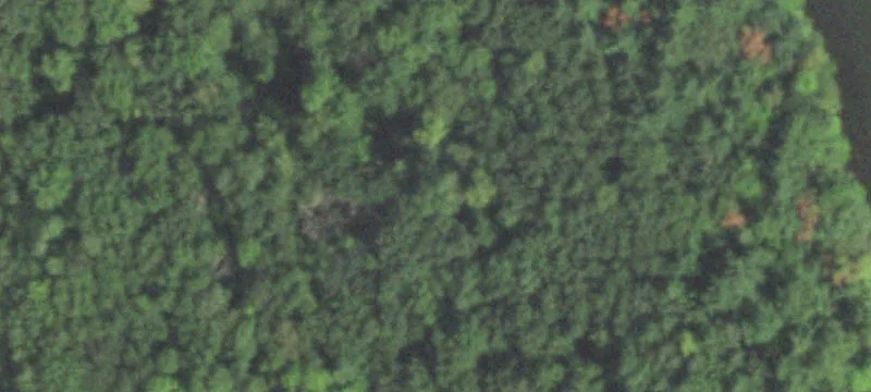 Rice Lake, WI 54868