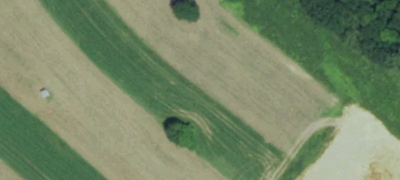 Norwalk, WI 54648