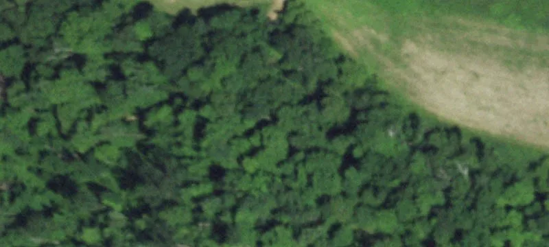 Wilton, WI 54670