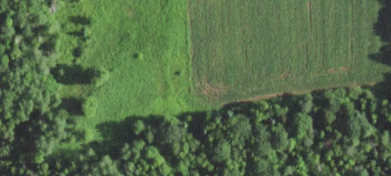 Phillips, WI 54555