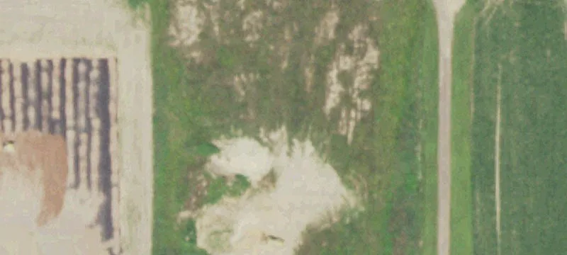 Loyal, WI 54446