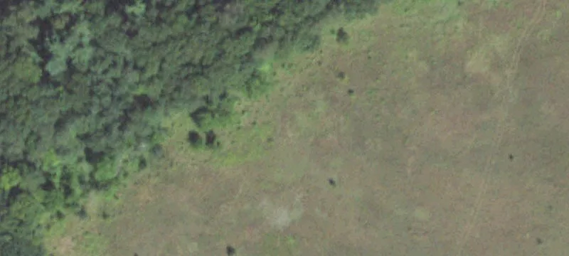 Sparta, WI 54656