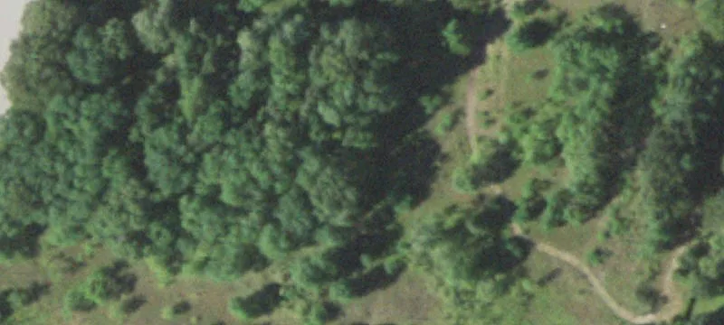 Tomah, WI 54660