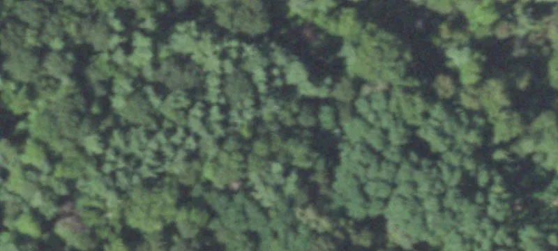 Wisconsin Rapids, WI 54494
