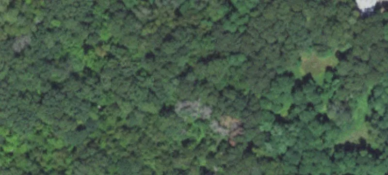 Saint Croix Falls, WI 54024