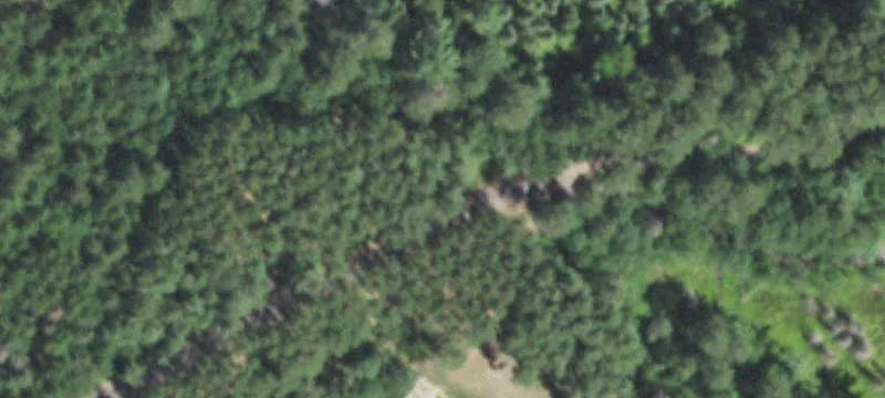 5650 Cp Manitowish Ln
