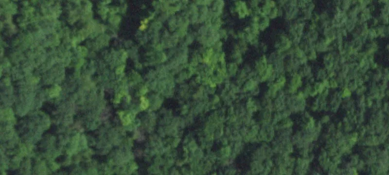 Norwalk, WI 54648