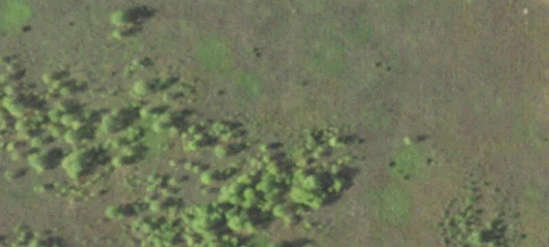 2395th Giebel Ct