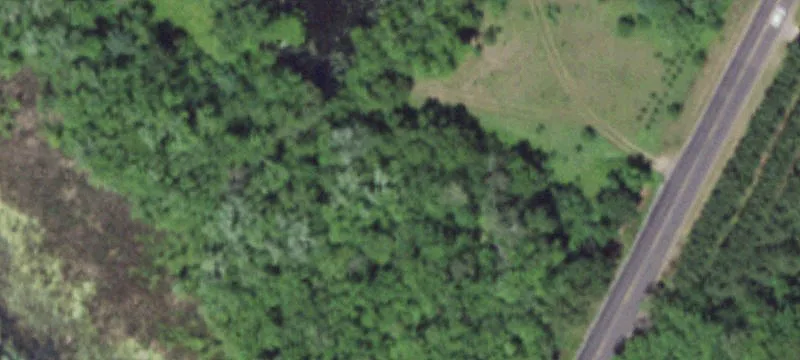 Nekoosa, WI 54457