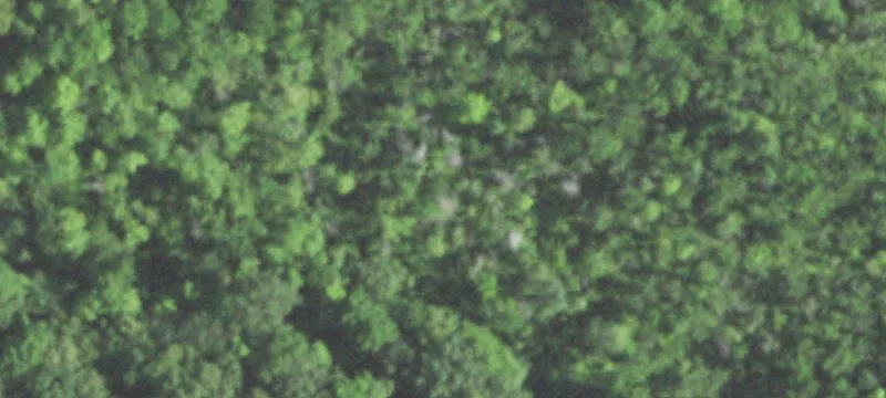 Iola, WI 54945